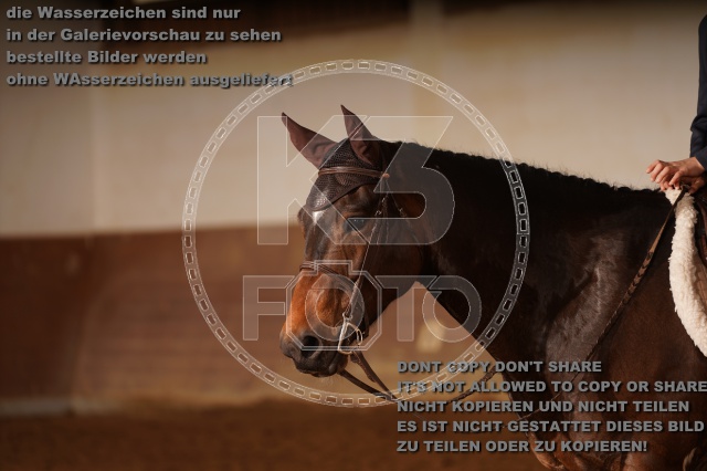s_A_900761.JPG